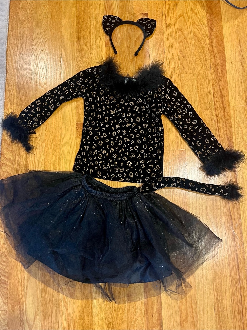 Pottery Barn Kids Black Leopard Cat Costume Set with Tulle Skirt